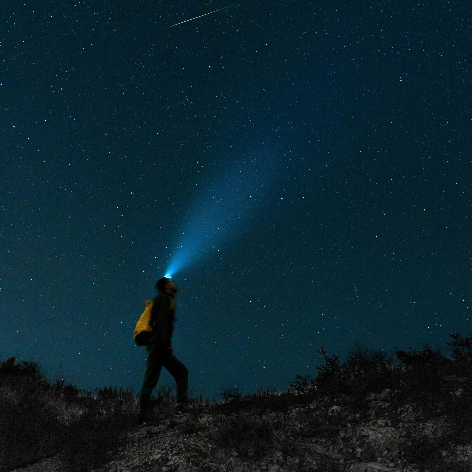 IMMERSION, la Randonnée Nocturne à faire en famille à la Sainte Victoire. A retrouver dans nos sorties thématiques en nature